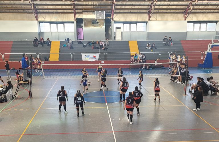 Voley