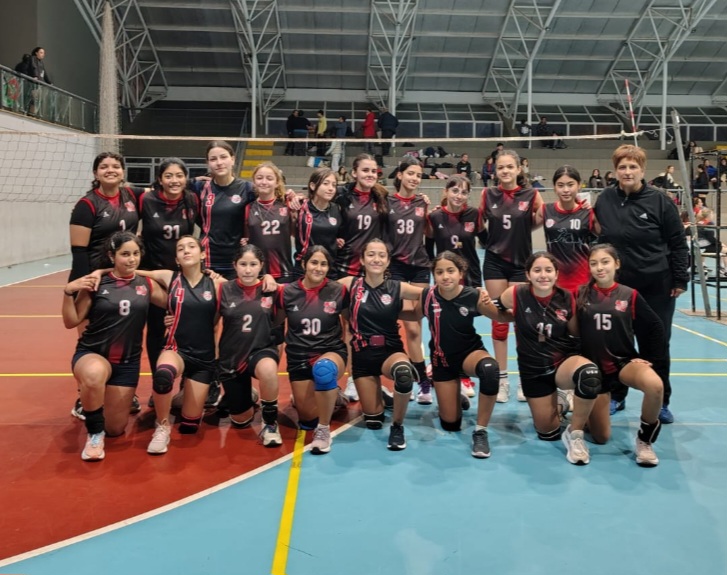 Voley