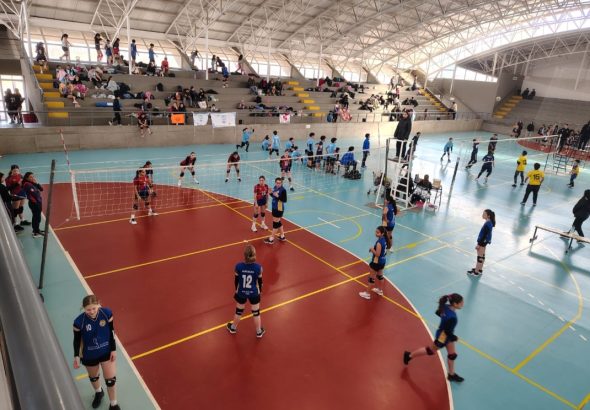 Voley