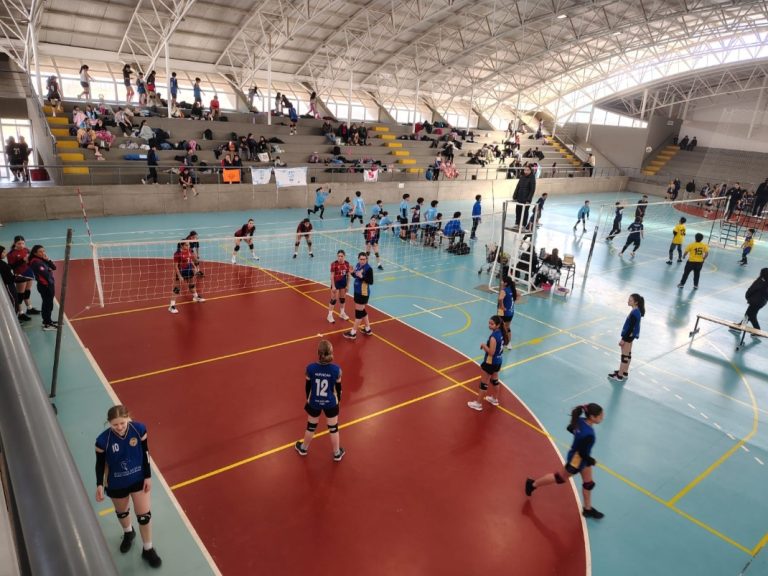 Voley