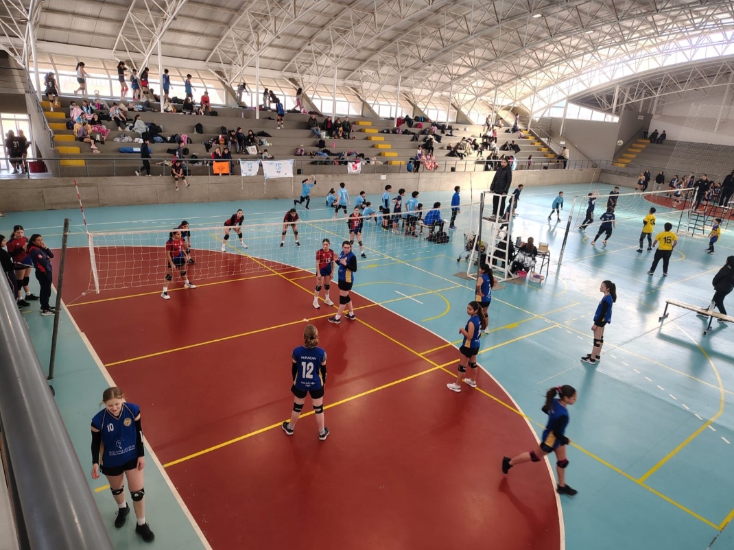 Voley