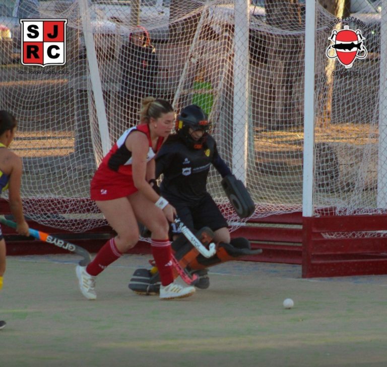 Hockey sobre césped