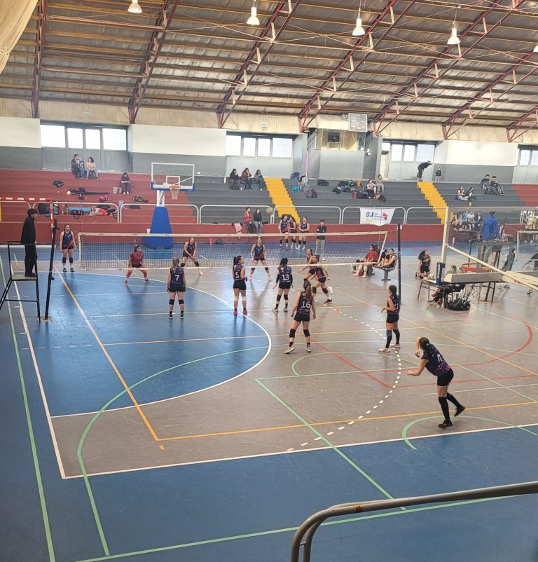 Voley