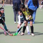 Hockey sobre césped