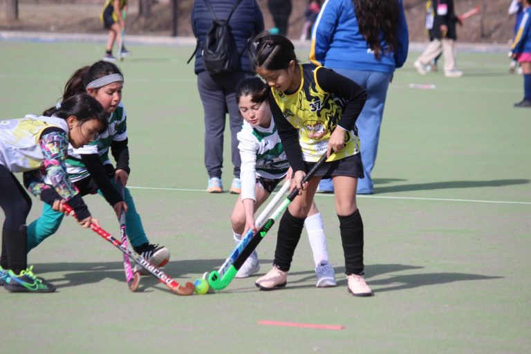 Hockey sobre césped