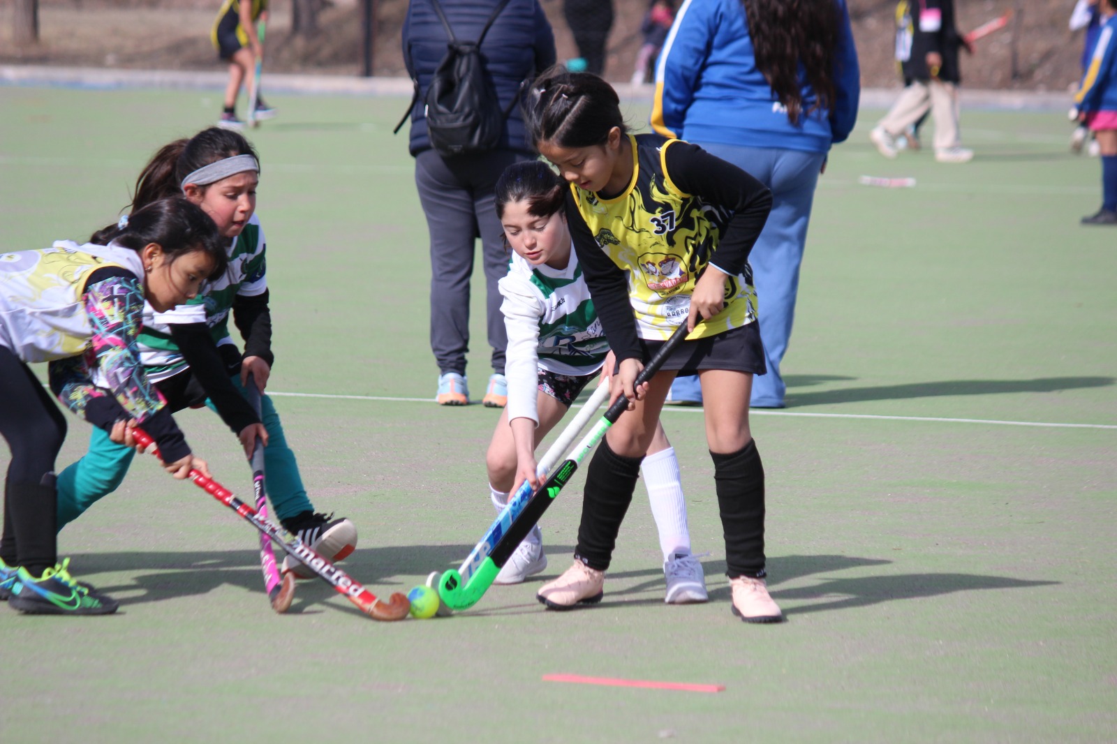 Hockey sobre césped