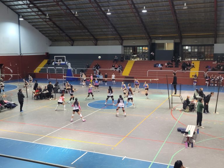 Voley