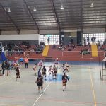 Voley