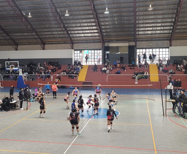 Voley