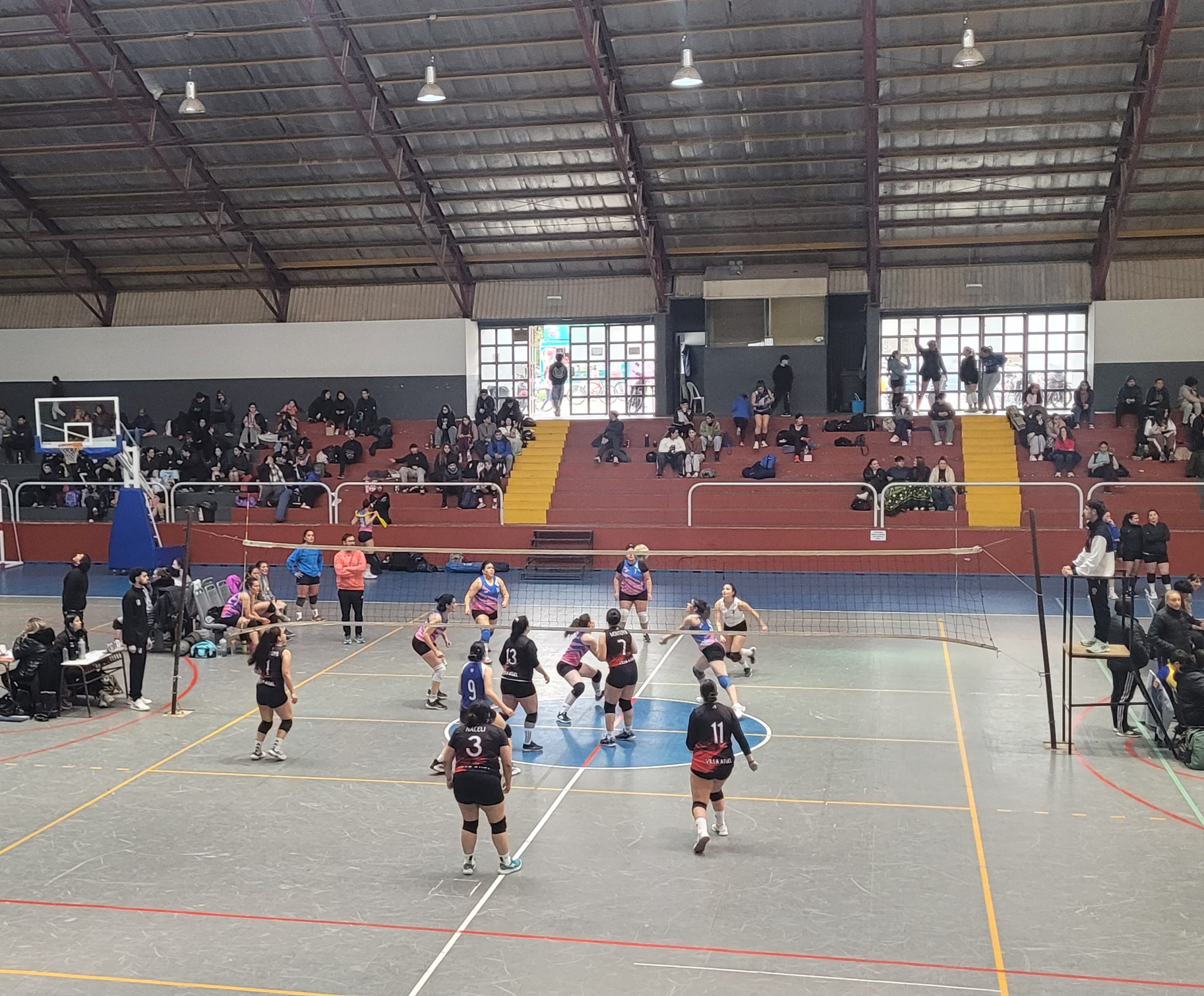 Voley
