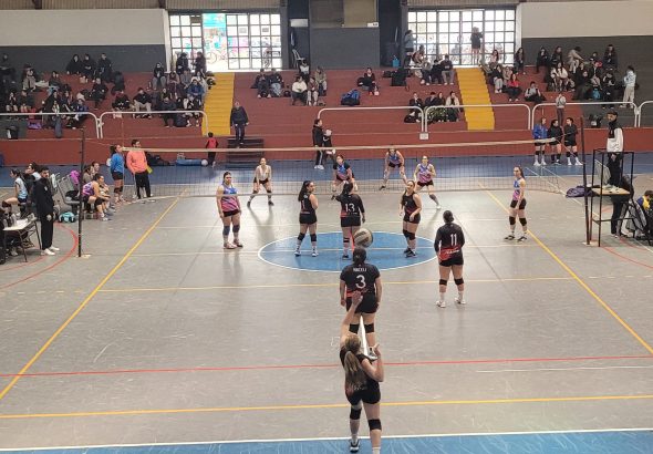 Voley