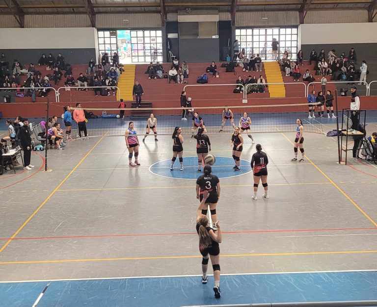 Voley