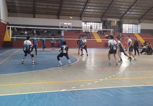 Voley