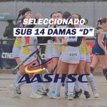 Hockey sobre césped