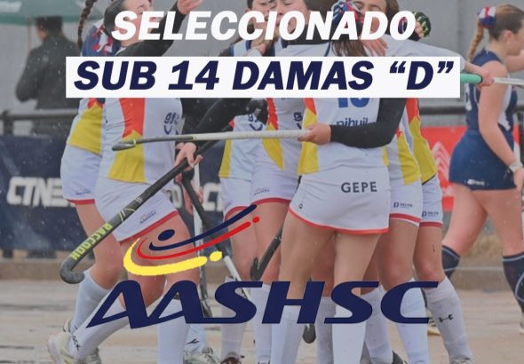 Hockey sobre césped