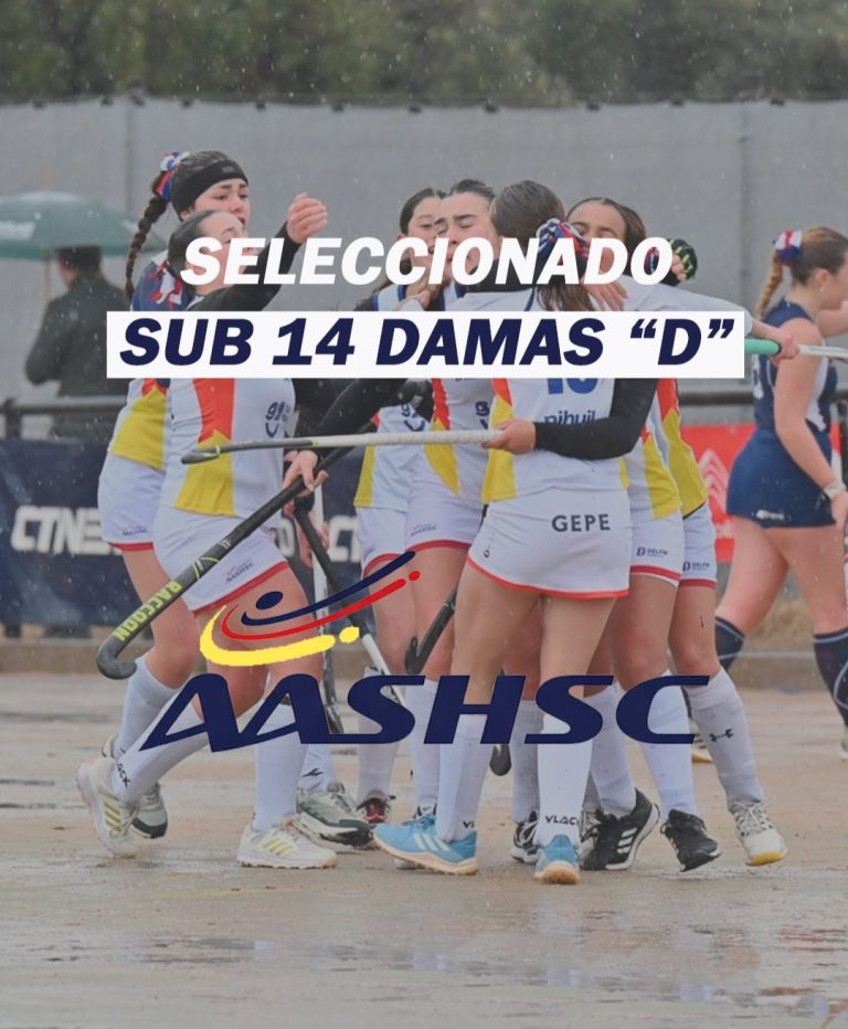 Hockey sobre césped