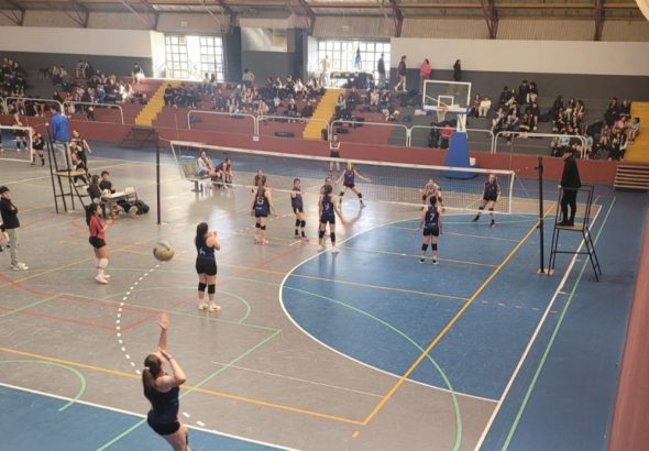 Voley