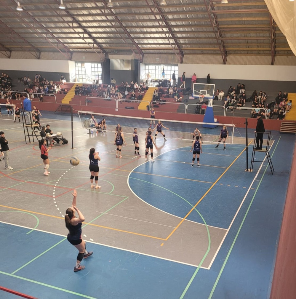 Voley