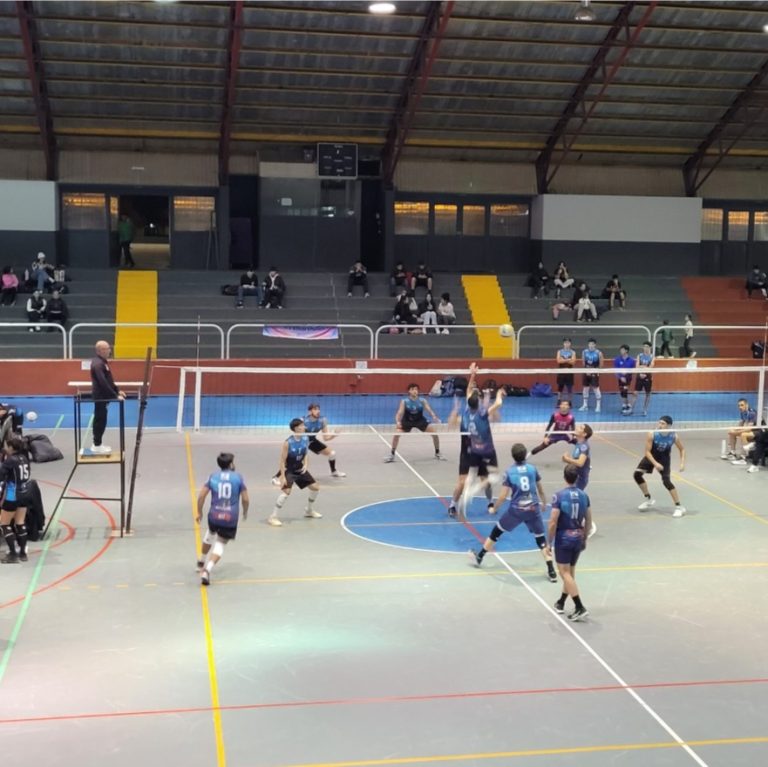 Voley