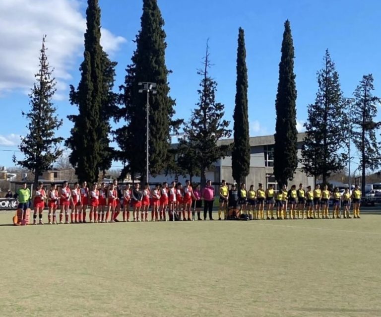 Hockey sobre césped