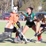 Hockey sobre césped