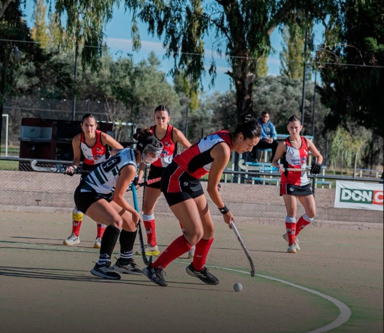 Hockey sobre césped