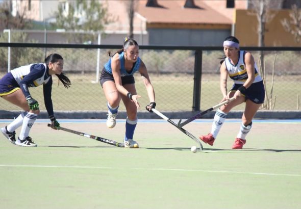 Hockey sobre césped