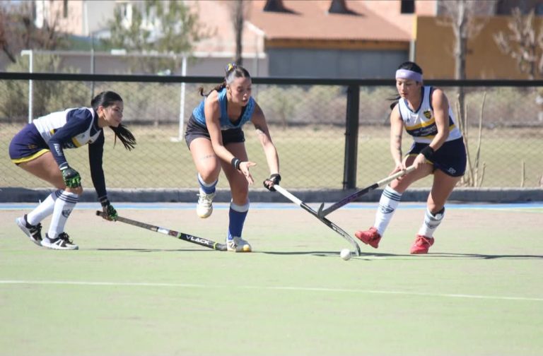Hockey sobre césped