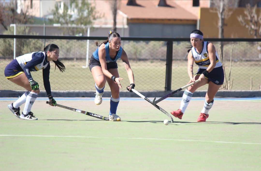 Hockey sobre césped