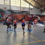 Voley
