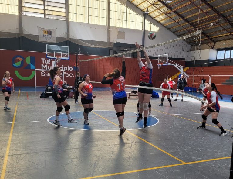 Voley