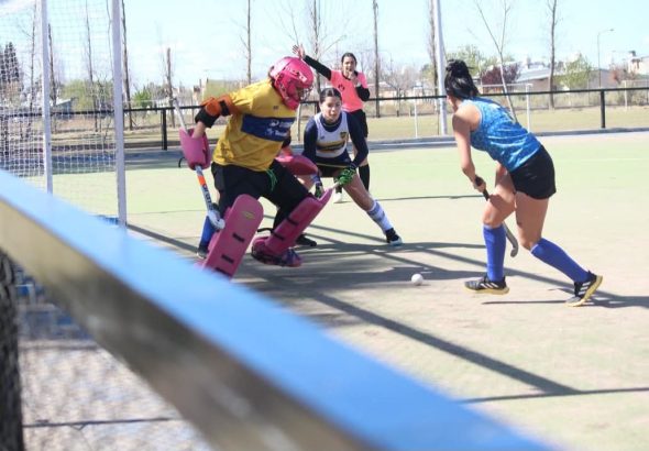 Hockey sobre césped