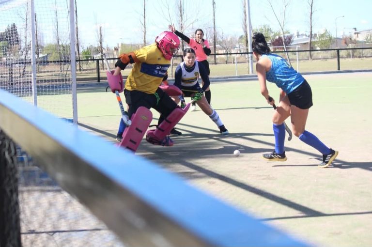 Hockey sobre césped