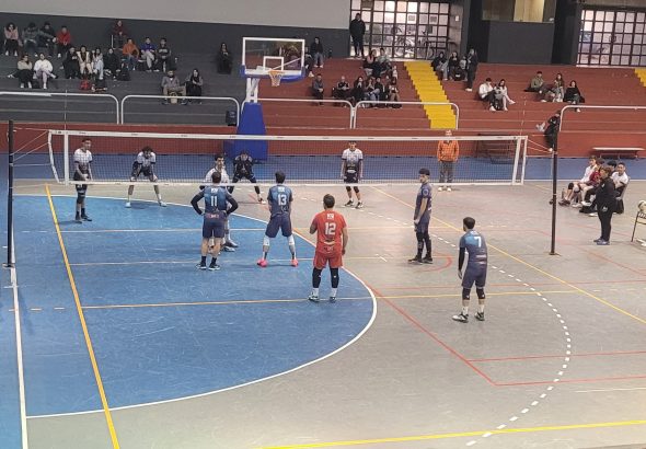 Voley