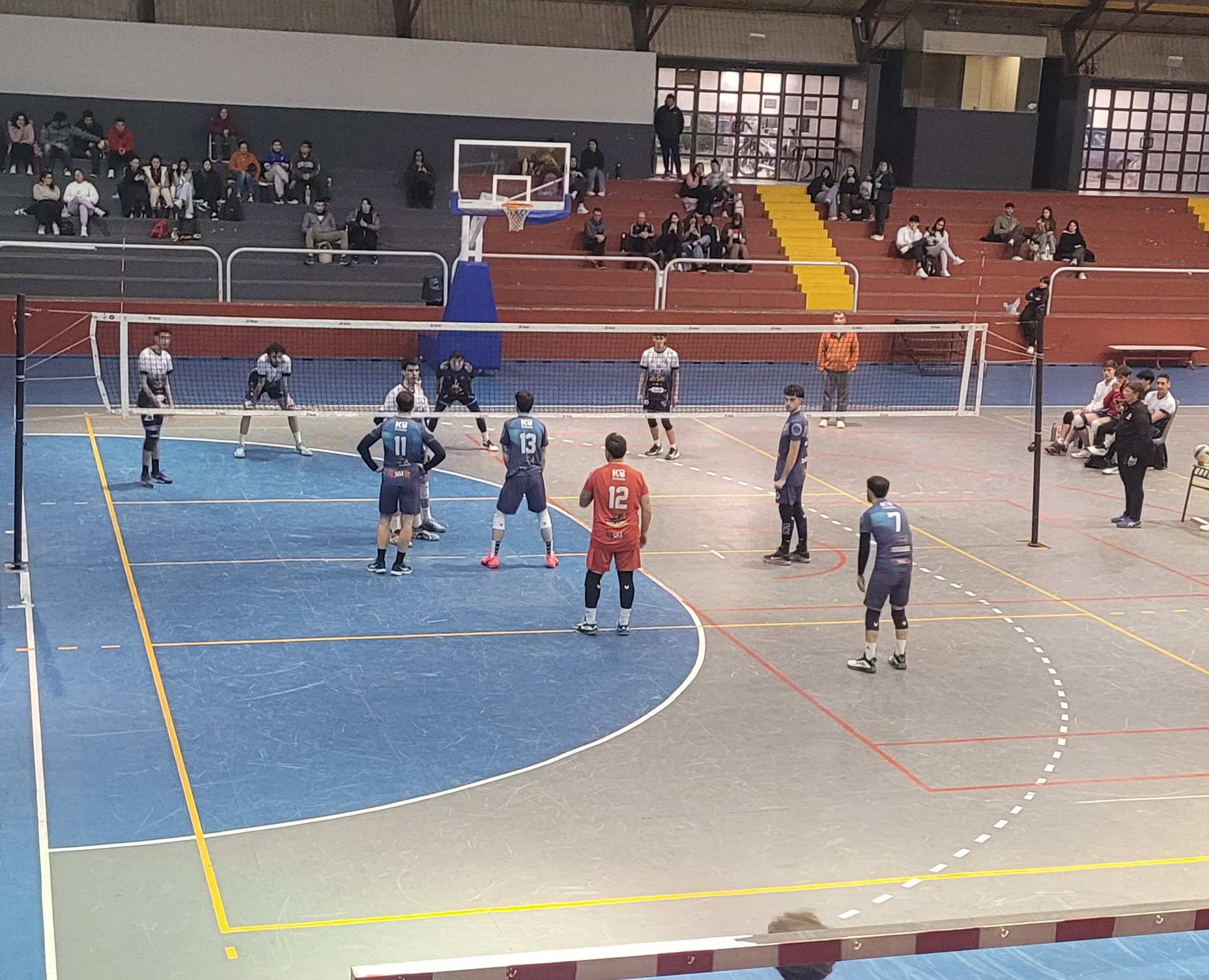 Voley