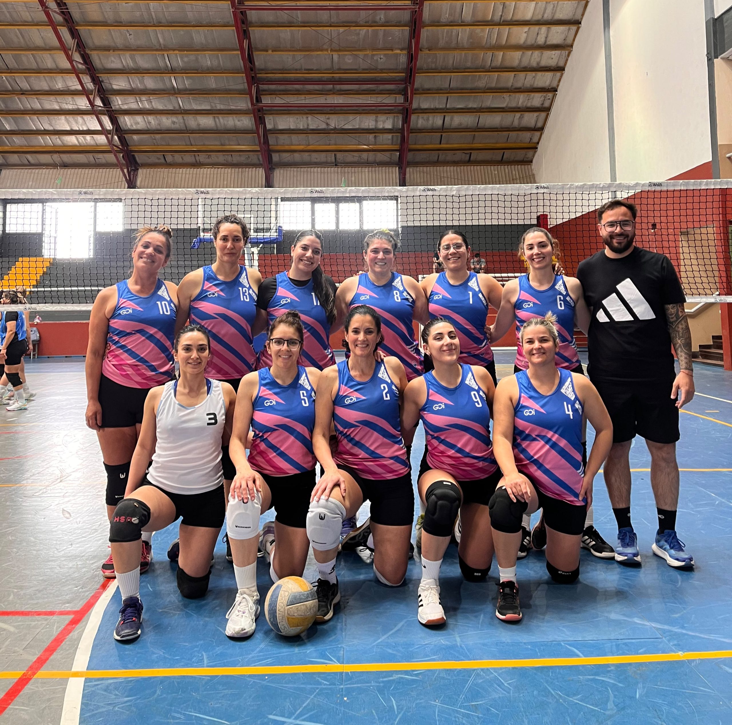 Voley