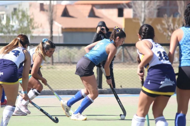 Hockey sobre césped