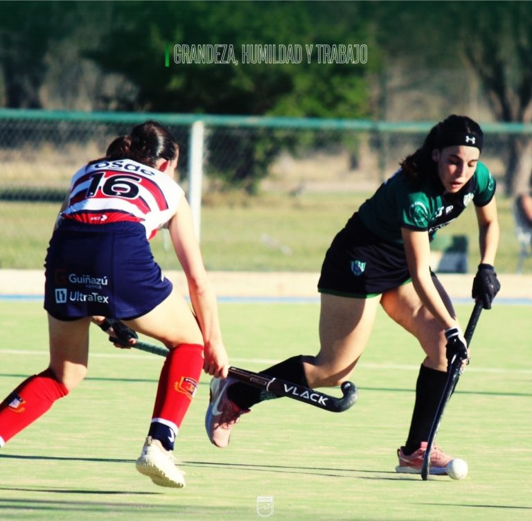 Hockey sobre césped