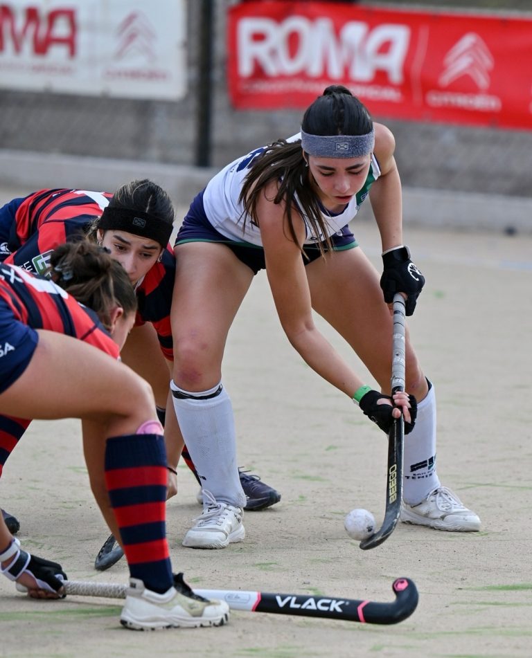 Hockey sobre césped