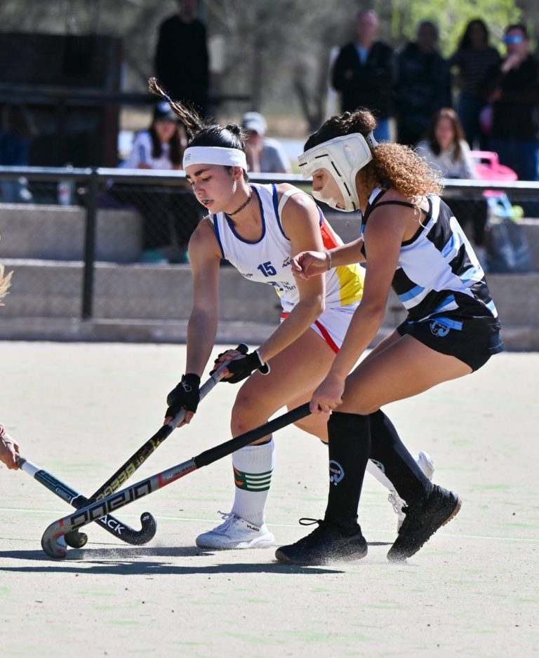 Hockey sobre césped