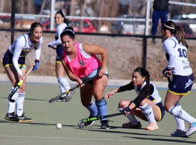 Hockey sobre césped
