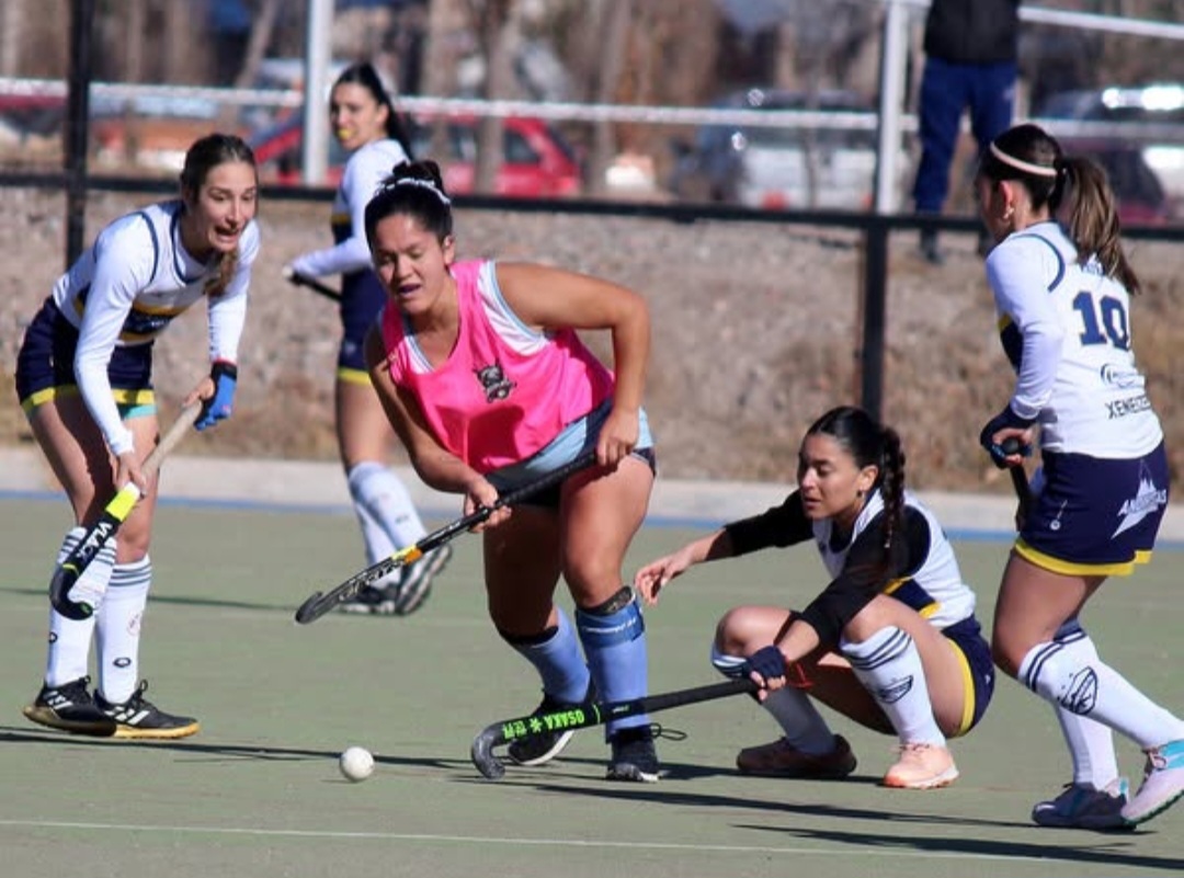 Hockey sobre césped
