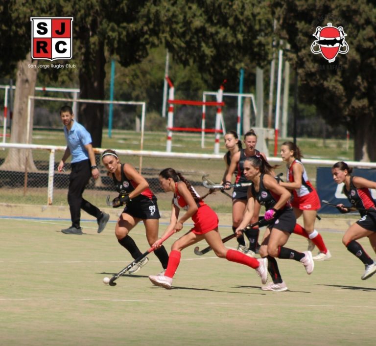 Hockey sobre césped
