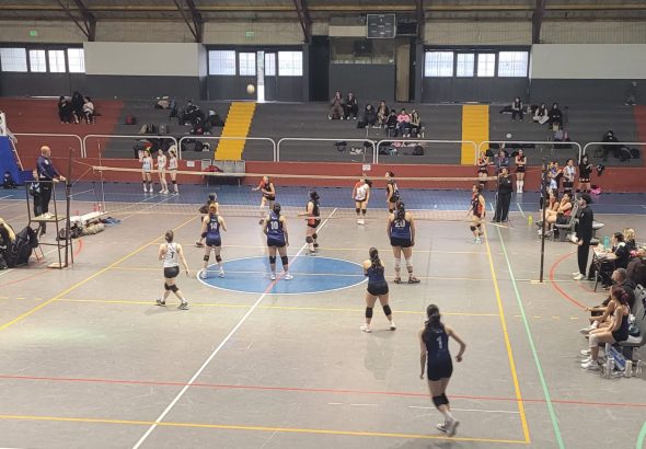 Voley