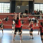 Voley