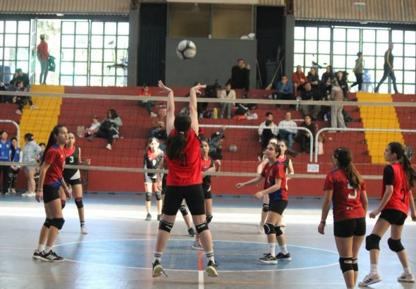 Voley