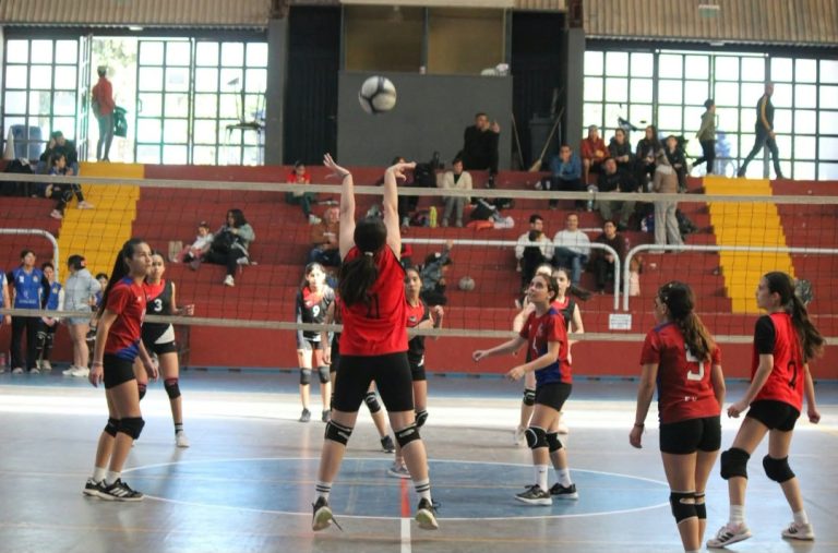 Voley
