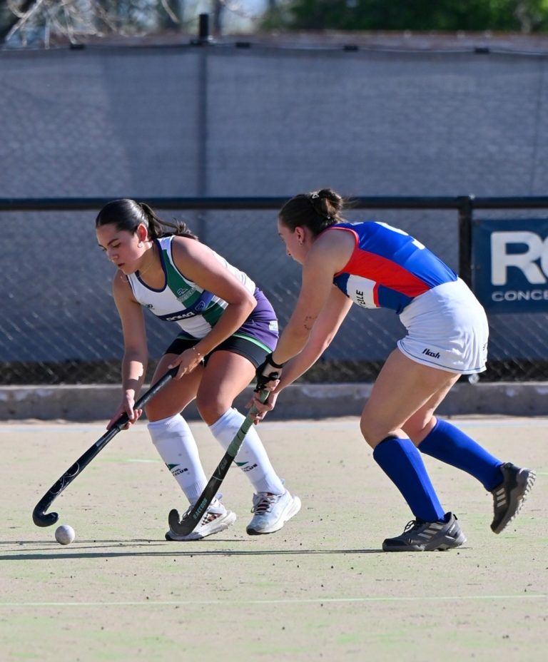 Hockey sobre césped