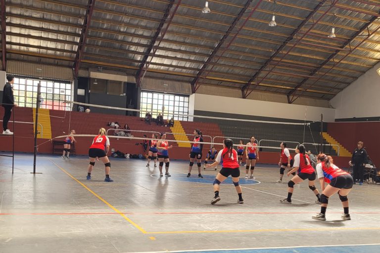 Voley