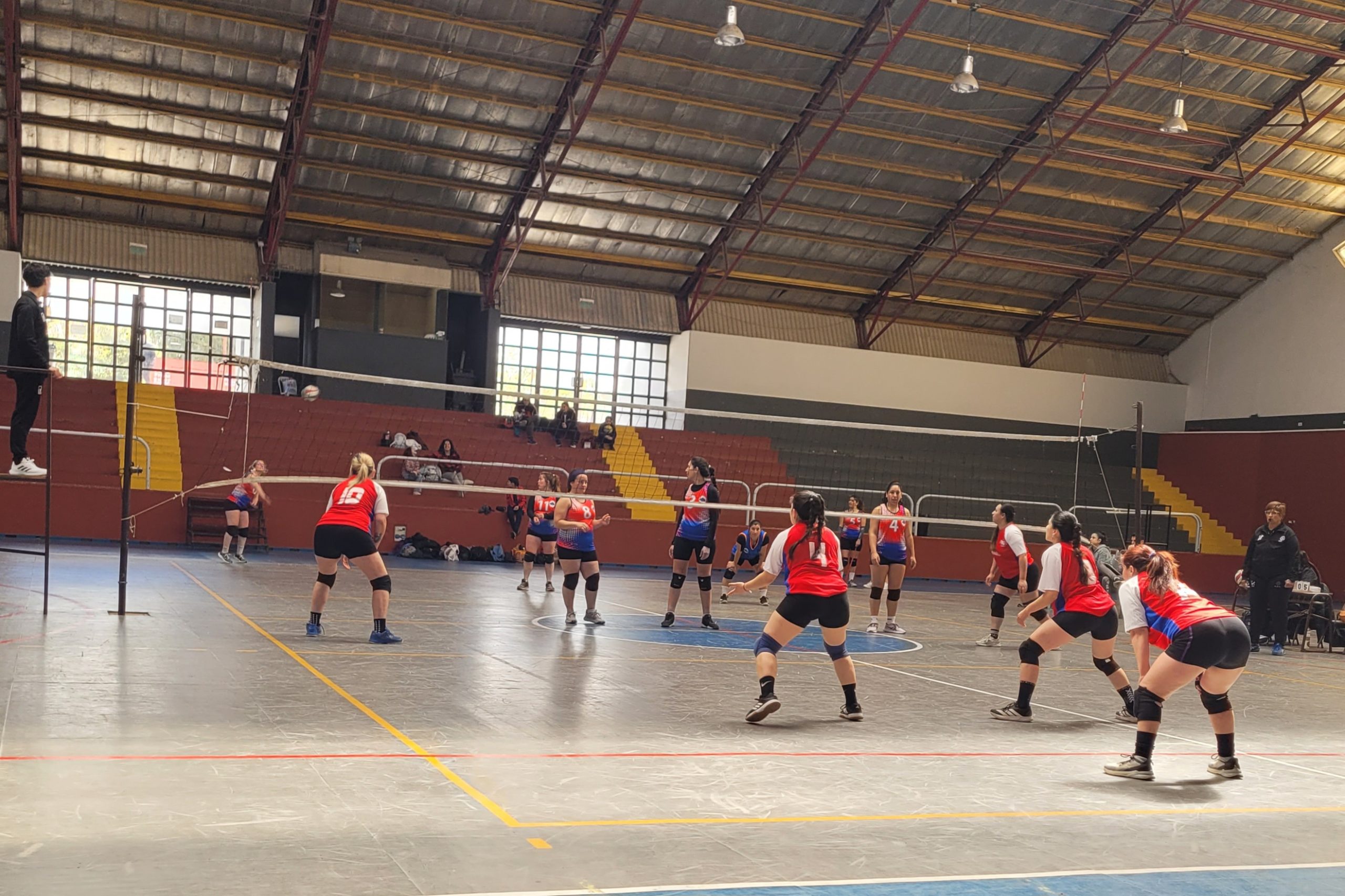 Voley